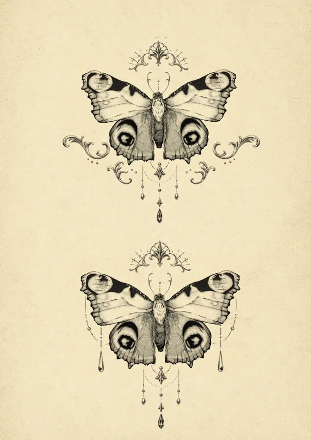 Twin Moths as an A3 art print